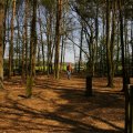 0504draakhenri2