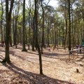 0504draakhenri236