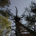 0504draakhenri241