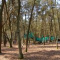 0504draakhenri242