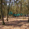 0504draakhenri243