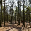 0504draakhenri257