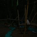0504draakhenri70
