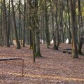 0504draakhenri85
