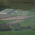 0504scoutdrkirene260