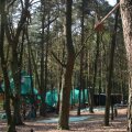 0504scoutdrkirene270