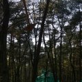 0504scoutdrkirene271