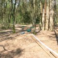 0504scoutdrkirene306
