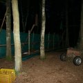 0504scoutdrkirene320