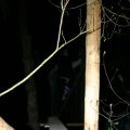 0504scoutdrkirene321