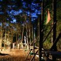 0504scoutdrkirene328