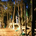 0504scoutdrkirene329