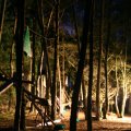 0504scoutdrkirene335