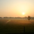 0504scoutdrkirene351