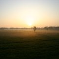 0504scoutdrkirene352