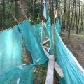 0504scoutdrkirene364