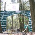 0504scoutdrkirene384