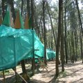 0504scoutdrkirene387
