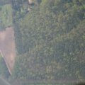 0504scoutdrkirene408