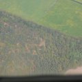 0504scoutdrkirene413