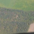0504scoutdrkirene414