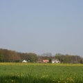 0504scoutdrkirene461