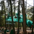 0504scoutdrkirene480