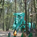 0504scoutdrkirene482