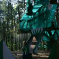 0504scoutdrkirene489