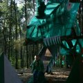 0504scoutdrkirene490