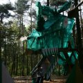 0504scoutdrkirene507