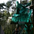 0504scoutdrkirene513