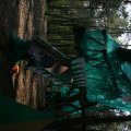 0504scoutdrkirene544