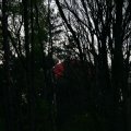 0504scoutdrkirene594