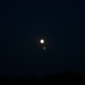0504scoutdrkirene595