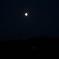 0504scoutdrkirene596