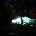 0504scoutdrkirene609