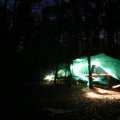 0504scoutdrkirene611