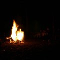 0504scoutdrkirene619