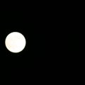 0504scoutdrkirene620