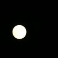0504scoutdrkirene622