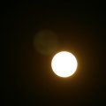 0504scoutdrkirene630