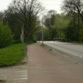 0504scoutdrkirene684