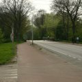 0504scoutdrkirene686