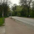 0504scoutdrkirene687
