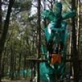 0504scoutdrkirene792