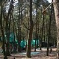 0504scoutdrkirene794
