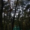 0504scoutdrkirene795
