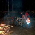 0504stjorisdsw215