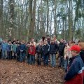 0504stjorisdsw245